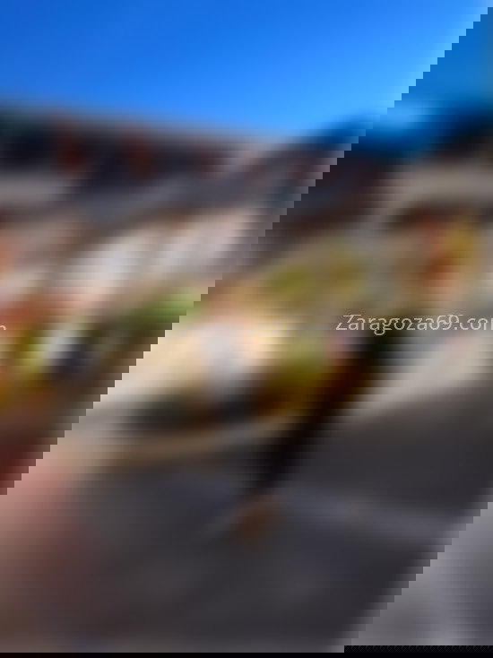 Tatiana, chica trans, morena y latina. 607168865. Citas en ZARAGOZA, ZARAGOZA. www.zaragoza69.com.