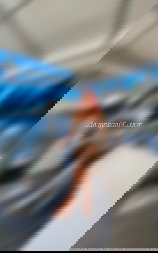 Canela, trans latina. 624897731. Citas en ZARAGOZA, ZARAGOZA. www.zaragoza69.com.