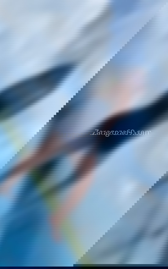 Pamela, recien llegada por primera vez. 613343775. Citas en ZARAGOZA, ZARAGOZA. www.zaragoza69.com. Pamela, recien llegada por primera vez. 613343775. Citas en ZARAGOZA, ZARAGOZA. www.zaragoza69.com.