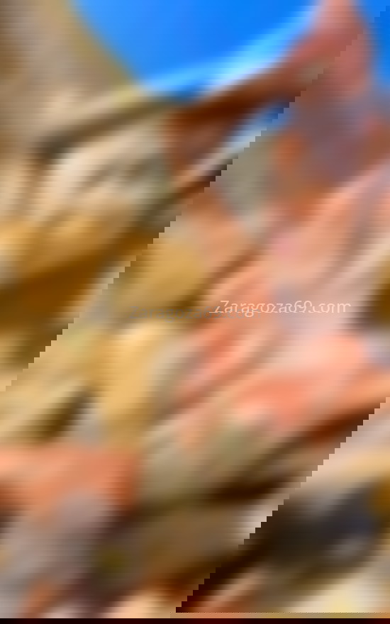 Tamara trans, elegancia y belleza pura. 632690664. Citas en ZARAGOZA, ZARAGOZA. www.zaragoza69.com.