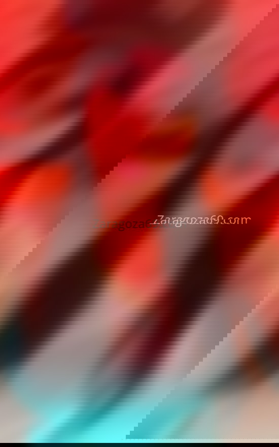 Dubraska, trans venezolana. 633129635. Citas en ZARAGOZA, ZARAGOZA. www.zaragoza69.com. Dubraska, trans venezolana. 633129635. Citas en ZARAGOZA, ZARAGOZA. www.zaragoza69.com.