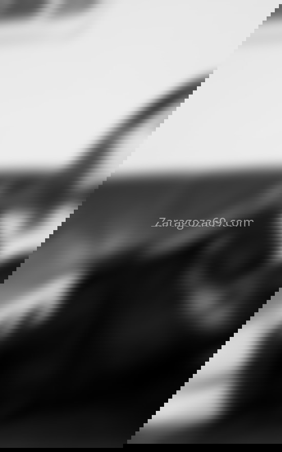 Jenn, latina. 612595848. Citas en ZARAGOZA, ZARAGOZA. www.zaragoza69.com.