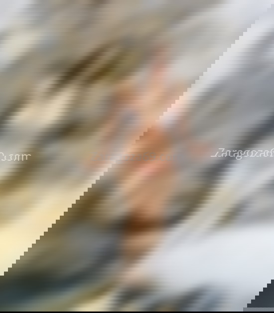 Camila, brasileña nueva en la ciudad. 688378490. Citas en ZARAGOZA, ZARAGOZA. www.zaragoza69.com.