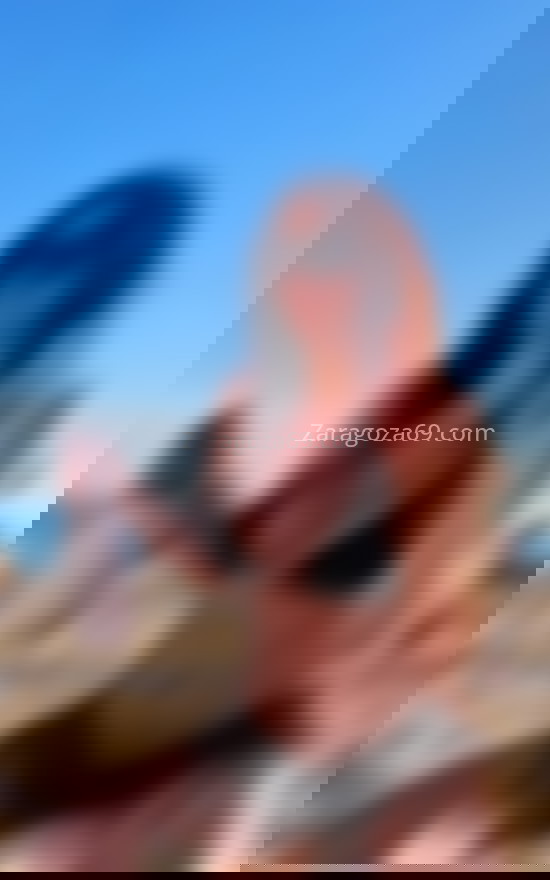 Camila, brasileña nueva en la ciudad. 688378490. Citas en ZARAGOZA, ZARAGOZA. www.zaragoza69.com.