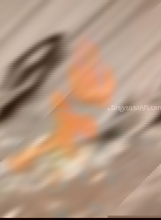 Tati, un encanto de mujer. 610640716. Citas en ZARAGOZA, ZARAGOZA. www.zaragoza69.com.