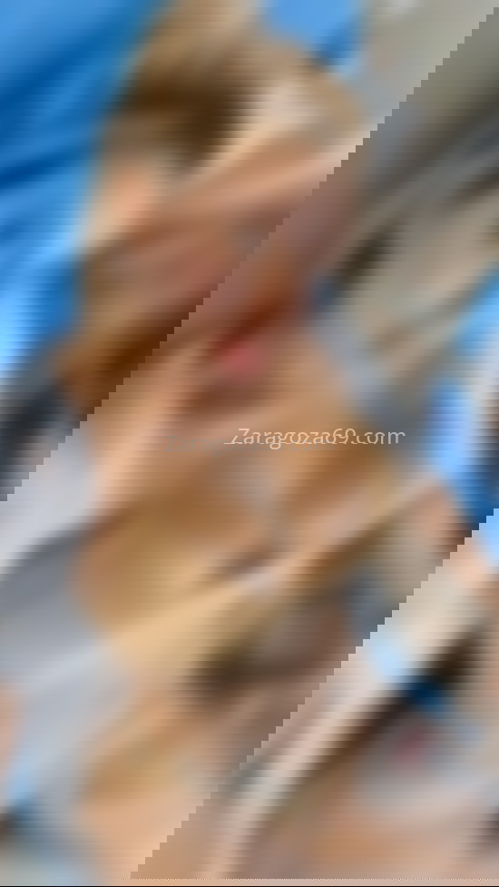 Carolina, latina cariñosa y muy mimosa. 627728452. Citas en ZARAGOZA, ZARAGOZA. www.zaragoza69.com.
