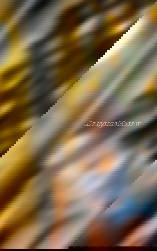 Lulú Angelie, joven trans brasileña . 656385719. Citas en ZARAGOZA, ZARAGOZA. www.zaragoza69.com.