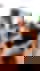 604375104