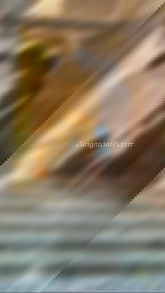 Antonella, joven elegante . 641765832. Citas en ZARAGOZA, ZARAGOZA. www.zaragoza69.com.
