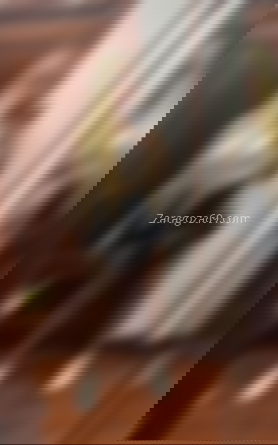 Cristina, chica brasileña. 641765832. Citas en ZARAGOZA, ZARAGOZA. www.zaragoza69.com.