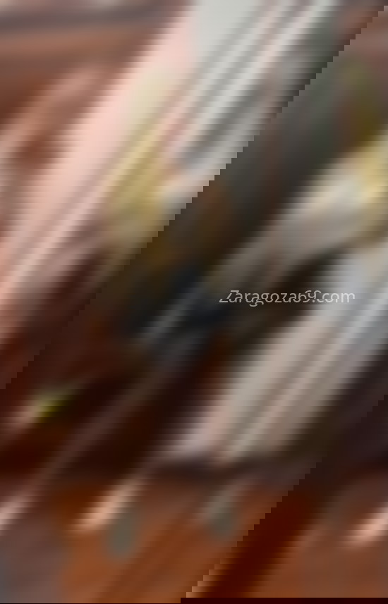 Cristina, chica brasileña. 641765832. Citas en ZARAGOZA, ZARAGOZA. www.zaragoza69.com.