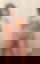 611284002