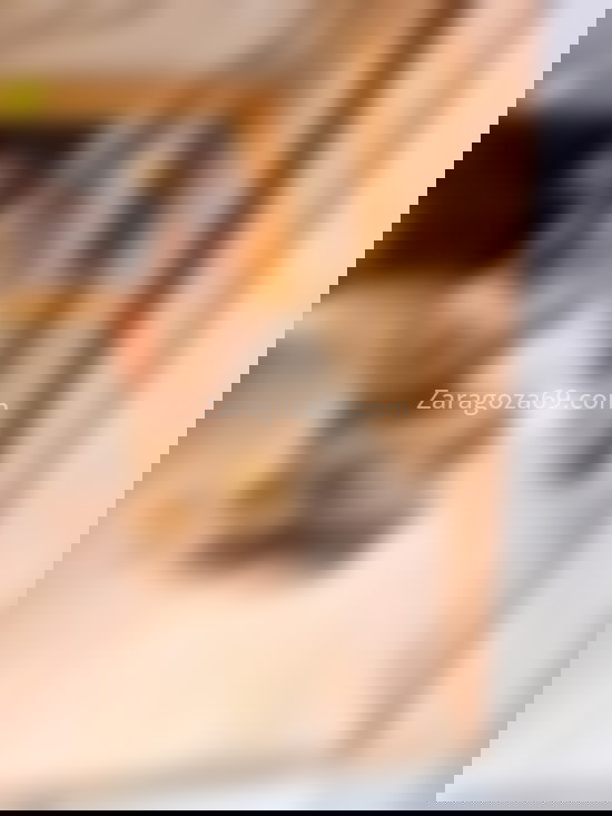 Roxana, venezolana fiestera . 603275398. Citas en ZARAGOZA, ZARAGOZA. www.zaragoza69.com.