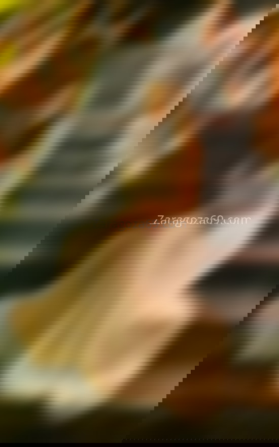 Leona Andrev, de vuelta en la ciudad. 667000268. Citas en ZARAGOZA, ZARAGOZA. www.zaragoza69.com.