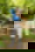 611399086