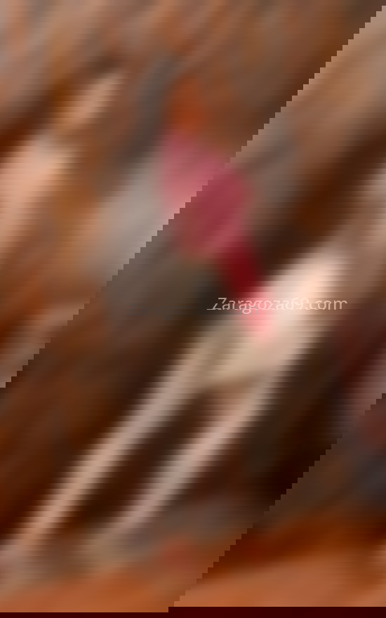 Shaira, chica trans carismática. 663141929. Citas en ZARAGOZA, ZARAGOZA. www.zaragoza69.com.