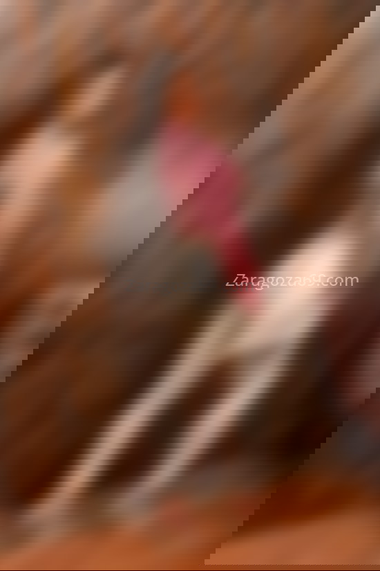 Shaira, chica trans carismática. 663141929. Citas en ZARAGOZA, ZARAGOZA. www.zaragoza69.com.