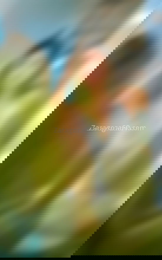 Lara, joven colombiana . 603313935. Citas en ZARAGOZA, ZARAGOZA. www.zaragoza69.com.