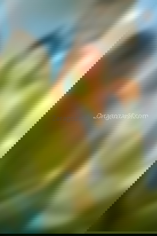 Lara, joven colombiana . 603313935. Citas en ZARAGOZA, ZARAGOZA. www.zaragoza69.com.