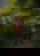 641765832