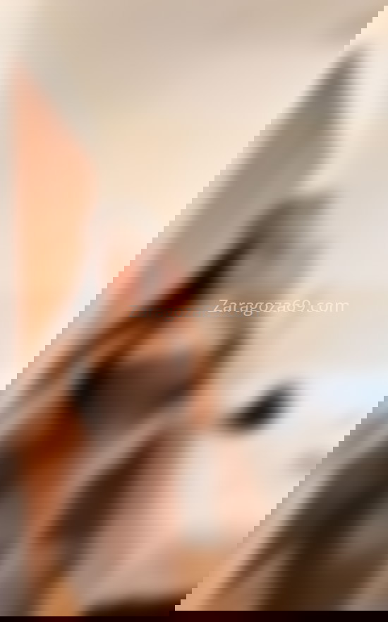 Sarah, latina jovencita. 613495580. Citas en ZARAGOZA, ZARAGOZA. www.zaragoza69.com.