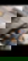 631662803