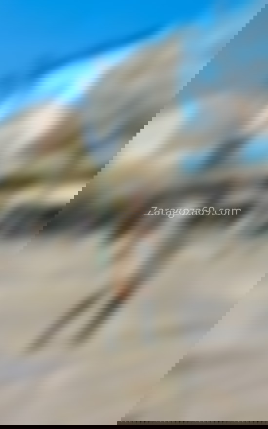 Camila, dulce latina. 641334522. Citas en ZARAGOZA, ZARAGOZA. www.zaragoza69.com.