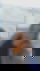 631782954