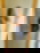 641691199
