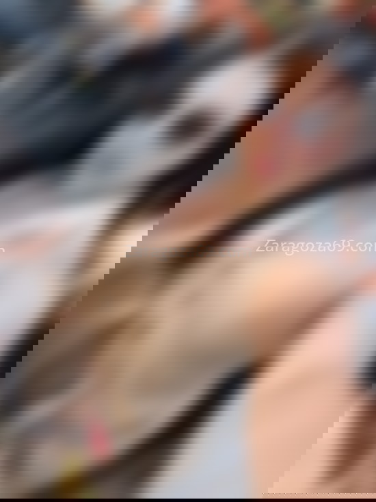 Camila, trans latina. 623548997. Citas en ZARAGOZA, ZARAGOZA. www.zaragoza69.com.