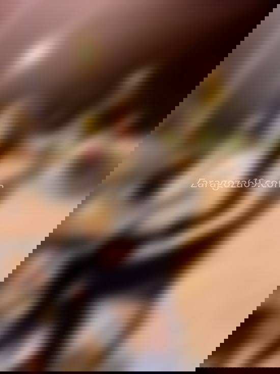 Sarita, joven latina fiestera. 624375644. Citas en ZARAGOZA, ZARAGOZA. www.zaragoza69.com.