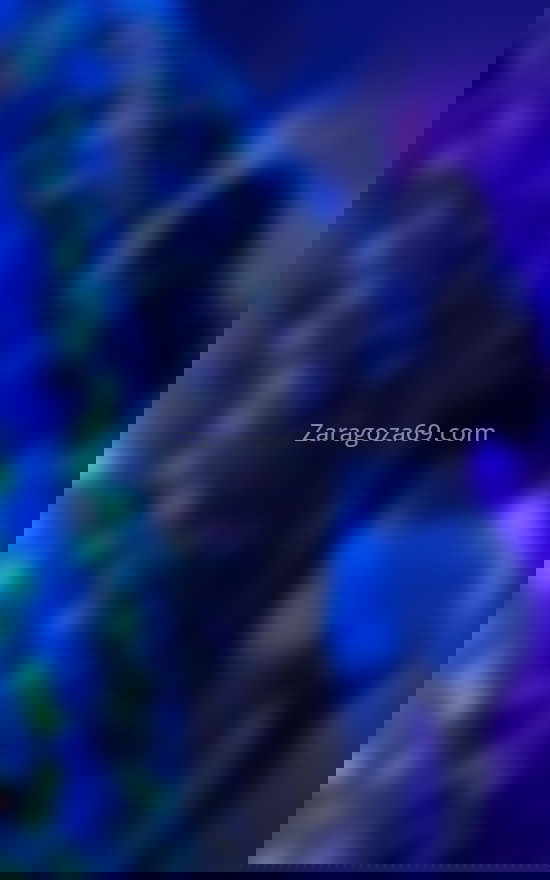 Salome, joven colombiana. 643605805. Citas en ZARAGOZA, ZARAGOZA. www.zaragoza69.com. Salome, joven colombiana. 643605805. Citas en ZARAGOZA, ZARAGOZA. www.zaragoza69.com.