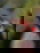 642901873