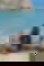 653203331