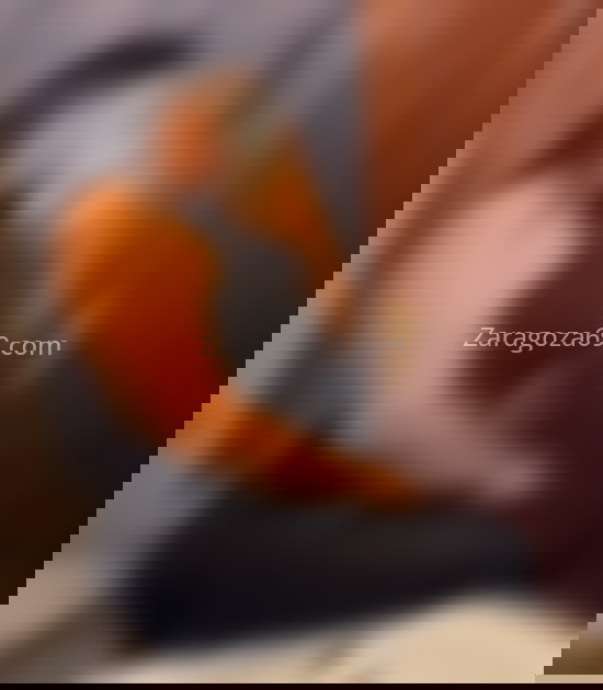 Sofía, exuberante latina. 611306961. Citas en ZARAGOZA, ZARAGOZA. www.zaragoza69.com.
