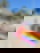 663156644